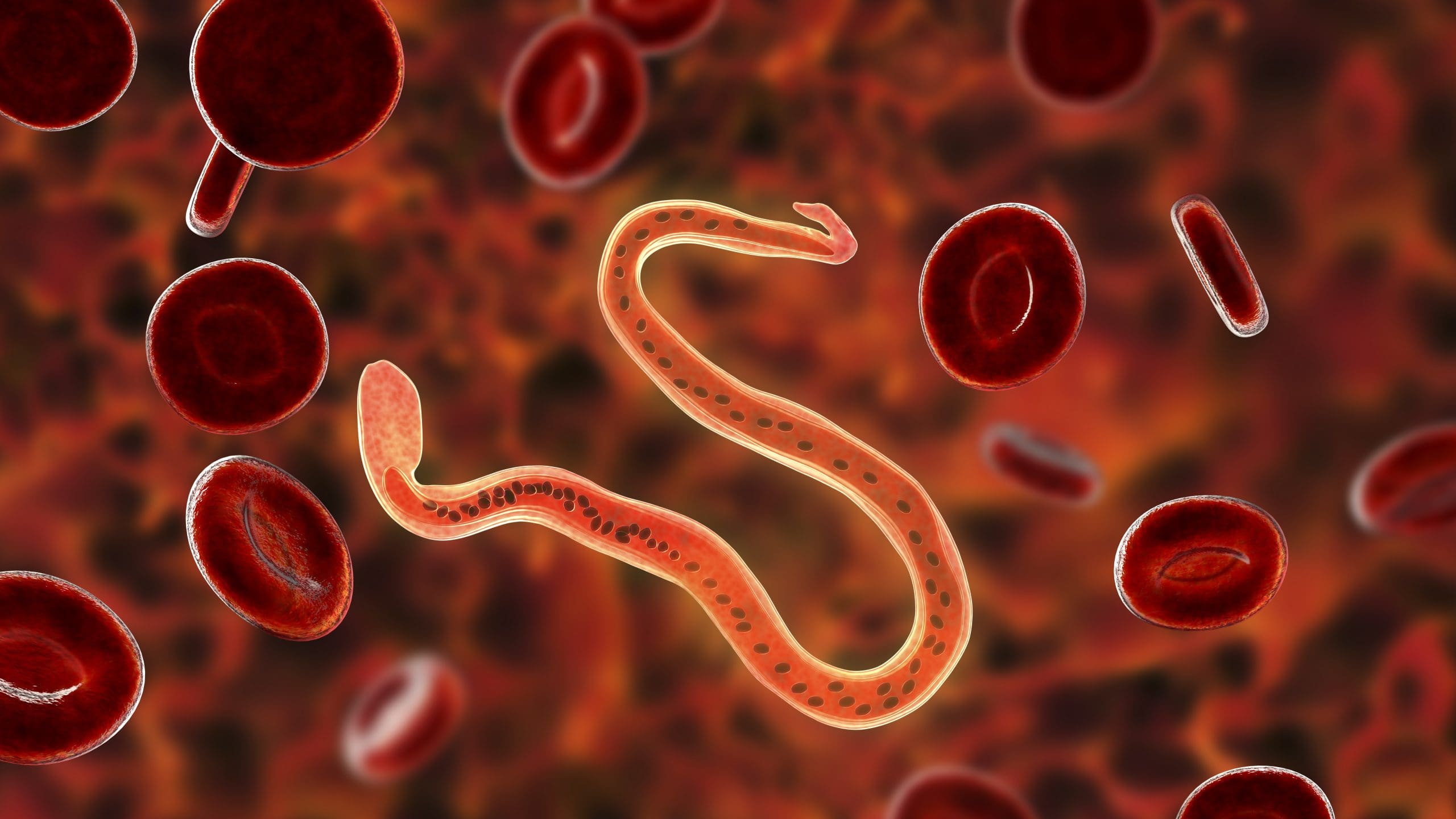 Діагностика паразитозів